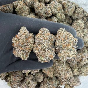 🔥💨 Exotic Tier: Blow Pop 🍭⛽  Top-shelf gas • Heavy terp profile • Strong potency