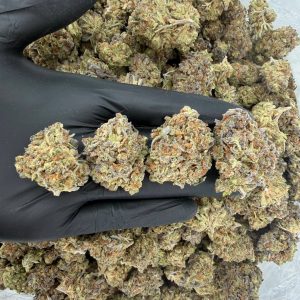 ππ₯ Solar Skunk Tier: Blue Coma π«β½ Nose: 7/10 π₯ Fruity Spice π