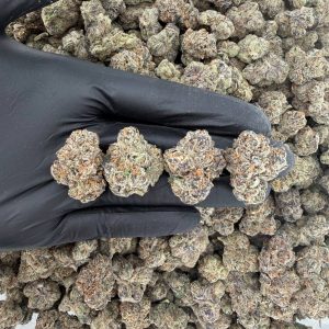 🔥🍬 Exotic Tier: Bubble Runtz 🍊✨  Nose: 9/10 🔥 Fruity Citrus 🥴