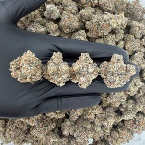 🔥🍒 Exotic Tier: Cherry Gelato 🍨✨  Nose: 9/10 🔥 Woody Citrus 😶‍🌫️