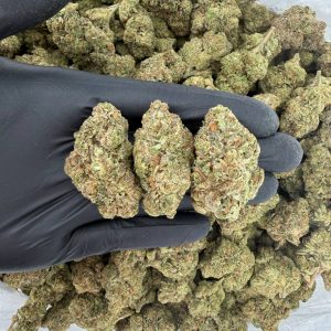 🥇🔥 Gold Tier: Crown Royale 👑🌿  Nose: 8/10 🔥 Citrus Pine 🤩