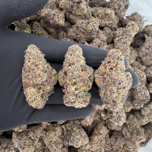 💎🔥 ZaZa Tier: D-Lish 🍪🍬  Elite quality • Exotic flavor • Heavy potency