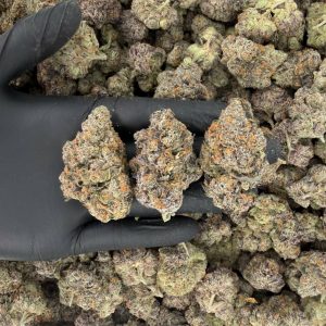 💎🔥 Platinum Tier: Flo 🌿✨  Nose: 10/10 🔥 Sugary Tangy 😝