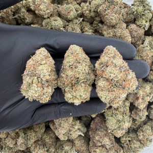 🥇🔥 Gold Tier: Forbidden Fruit 🍒🍊  Nose: 8/10 🔥 Berry Pine 🤩