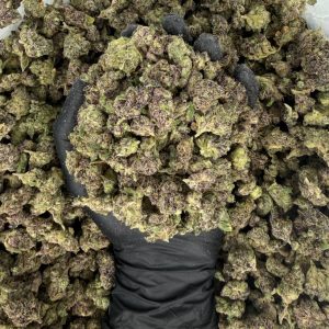 🌿 Exotic Smalls: Hawaiian Runtz  Nose: 8/10 🔥 Tropical Sweets ☺️