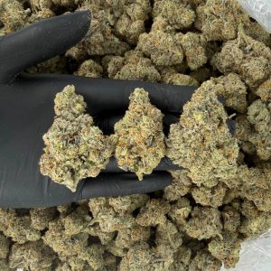 🌿 ZaZa Tier: High Octane  Nose: 10/10 🔥 Dank Spice 🤩