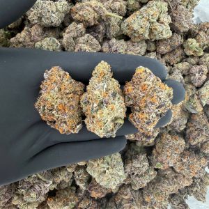 🥇 Gold Tier: Krazy Runtz  Nose: 8/10 🔥 Herby Fruity 🤩