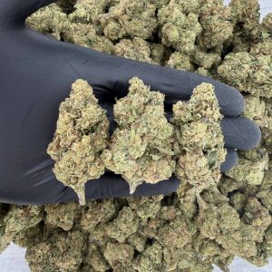 💎🔥 Gold Tier: Lemon Cherry Gelato 🍋🍒⛽  Nose: 8/10 🔥 Berry Citrus 😶‍🌫️