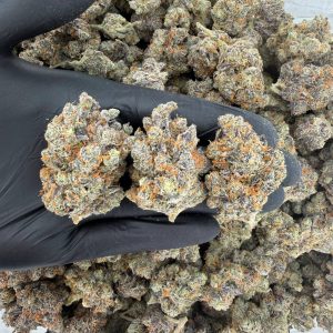 🔥🍬 Platinum Tier: Nightmare Kushmints 🍬🔥  Nose: 10/10 🔥 Sweet Earth 🥰