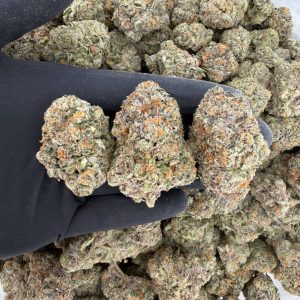 💎🔥 ZaZa Tier: Ozark 🌲🍇  Elite quality • Exotic flavor • Heavy potency