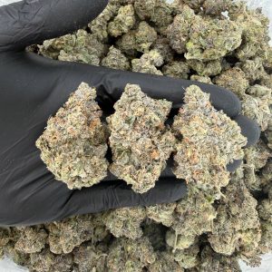 🌿🔥 Exotic Tier: Pretty Wicked 🧪✨  Nose: 9/10 🔥 Sweet Spice 😶‍🌫️