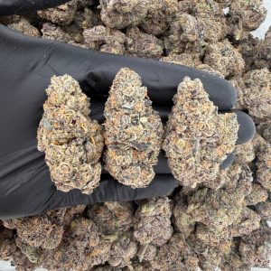 💎🔥 ZaZa Tier: Shock Tarts 🍬⛽  Nose: 10/10 🔥 Sweet Zest 😵‍💫