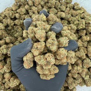 🚀🔥 Platinum Smalls: Skywalker OG 🌿💎  Nose: 8/10 🔥 Herby Jet Fuel