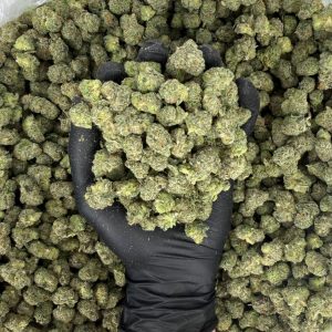 🌿 Exotic Smalls: Sour Runtz  Nose: 8/10 🔥 Sour Spice 😝