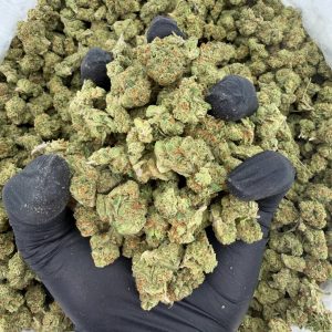 💎🔥 Exotic Smalls: Sunset Sherbet 🍊⛽  Nose: 8/10 🔥 Sweet Skunk 🤤