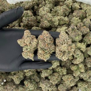 💎🔥 Platinum Tier: The Original Z 🍬🍇  Nose: 10/10 🔥 Sweet Fruity 🤗