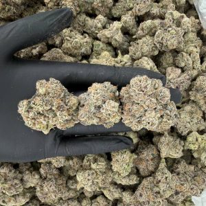 🌿🔥 Rapper Tier: Cherry Punch 🧪✨ Nose: 10/10 🔥 Fruity Skunk 🥰