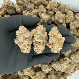 🌿🔥 Platinum Tier: Cherry Runtz 🧪✨ Nose: 10/10 🍒 Sour Tangy 🤤