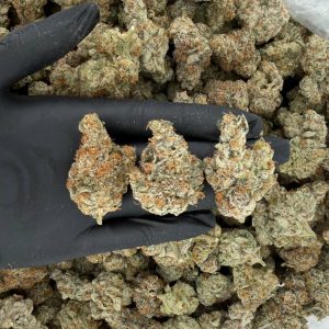 πΏπ₯ ZaZa Tier: French Lotus π§ͺβ¨ Nose: 10/10 π³ Fruity Herbal π€