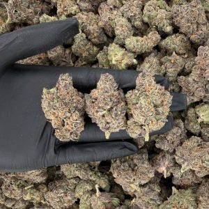 🌿🔥 Rapper Tier: Fruit Roll Upz 🧪✨ Nose: 10/10 🔥 Sour Sweet 😝