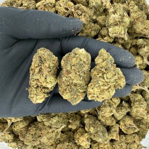 🌿🔥 Solar Skunk Tier: Grease Monkey 🧪✨ Nose: 7/10 🌳 Earthy Vanilla 🍨