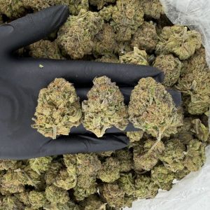 πΏπ₯ Gold Tier: Mango π§ͺβ¨ Nose: 8/10 π₯ Sweet Citrusy π₯΄