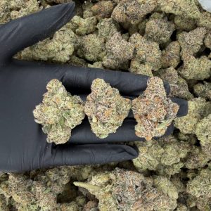 🌿🔥 Rapper Tier: Pineapple Crush 🧪✨ Nose: 10/10 🔥 Woody Citrus 😌