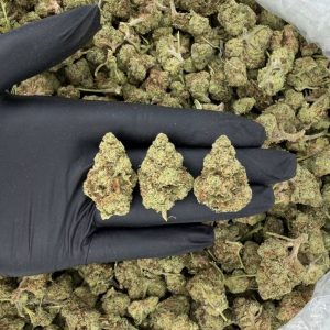 🔥 Solar Skunk Tier: Wedding Punch 🔥  contains leaves and stems